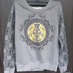 Long Sleeve Casual Lion Graphics Sweatshirt Polyester Top Boys Size 9- 10 years